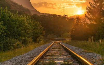 When You Fall, You Will Rise: A Devotional on Micah 7:8